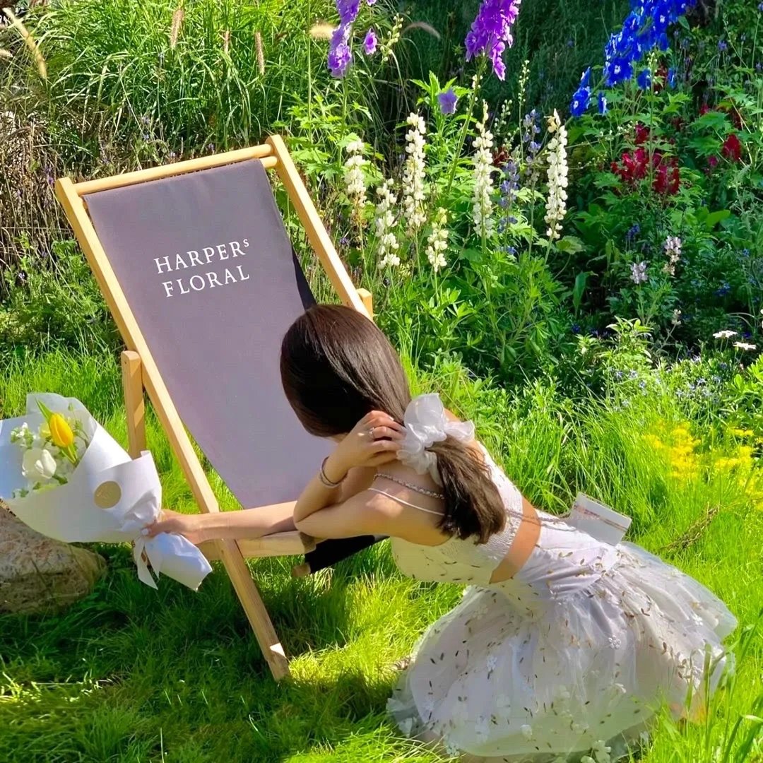 哆啦A梦：大雄的南极冰冰凉大冒险